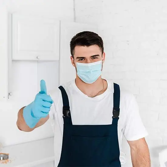 Pest control experts Rosebud